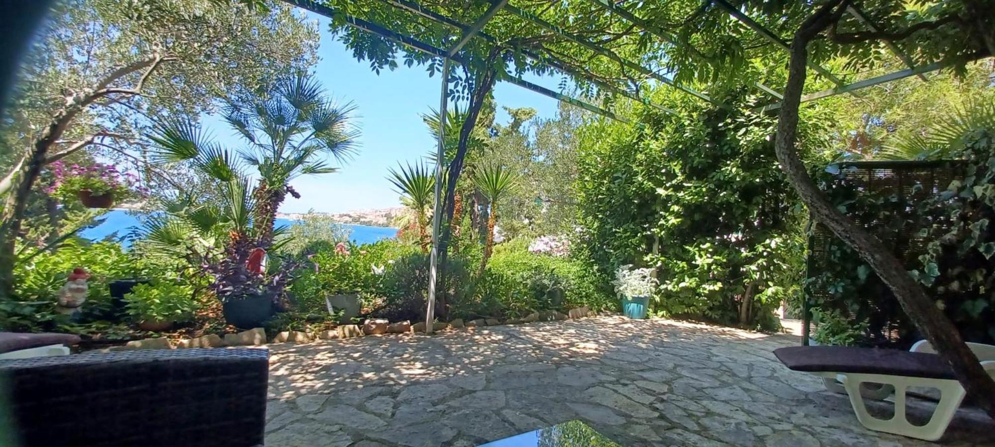 Villa Botanica روغوزنيكا المظهر الخارجي الصورة